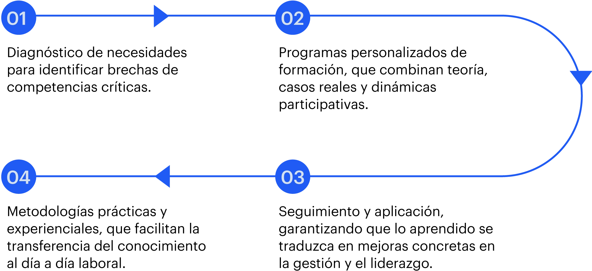 Descripción de la imagen