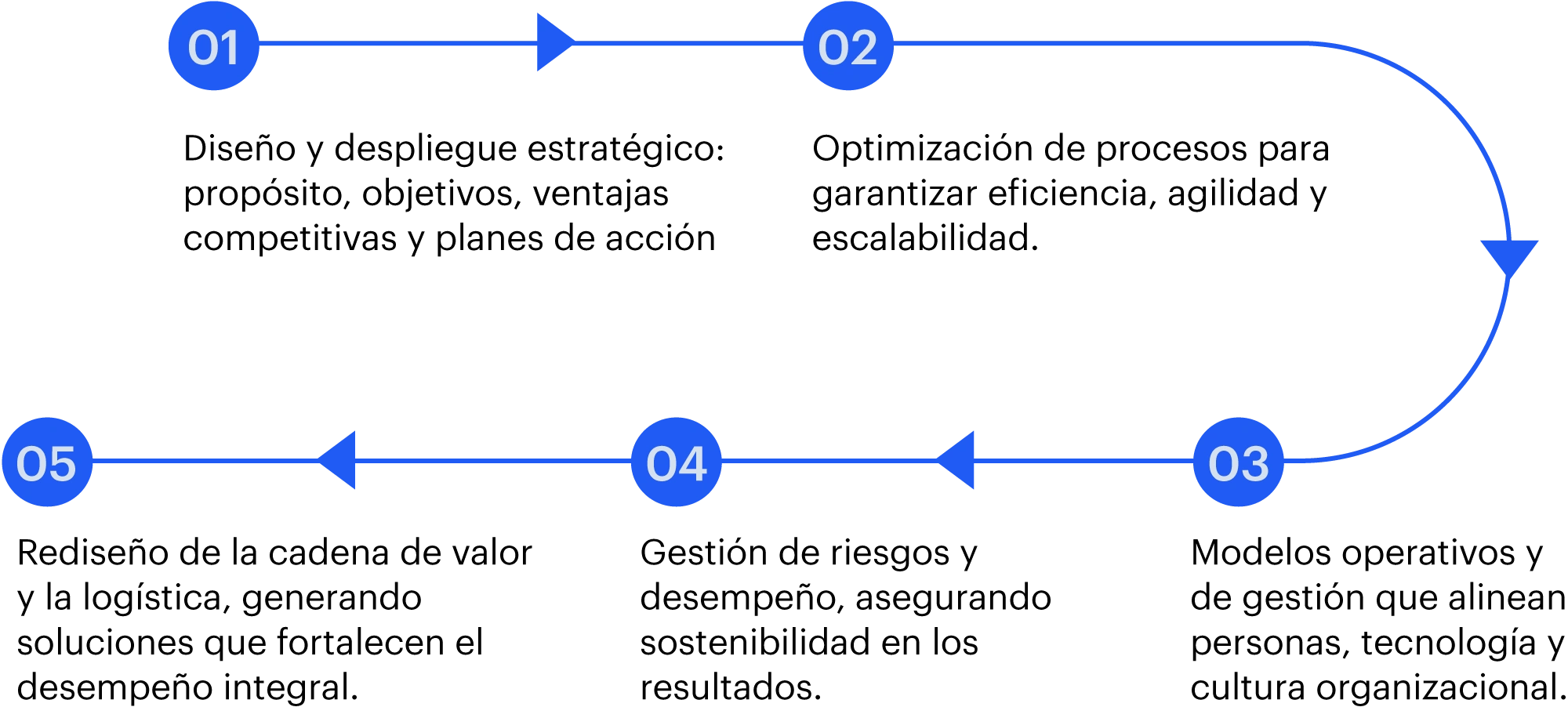 Descripción de la imagen